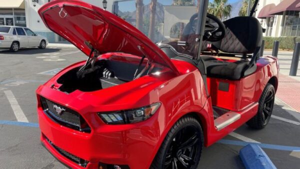 EC-MUSTANG - Image 6