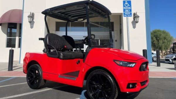 EC-MUSTANG - Image 7